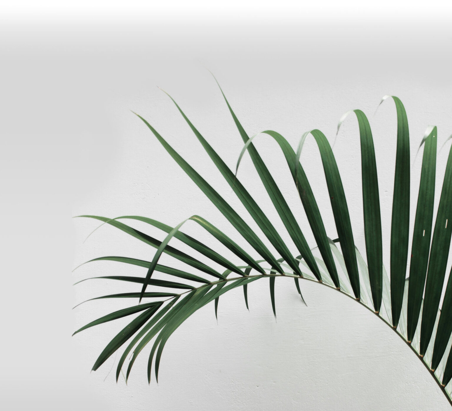 thehubOASIS - Event Venue in Kahului